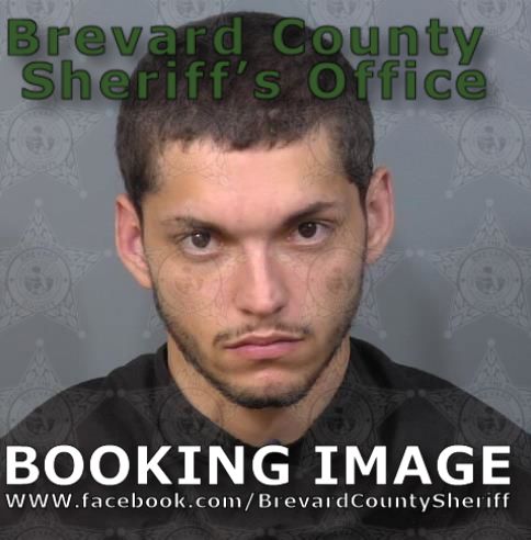 Mugshot of Samuel David Mulholand