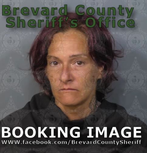 Mugshot of Dawn Alisa Padilla