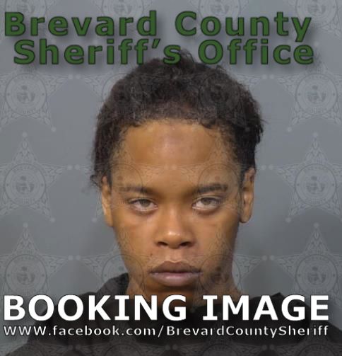 Mugshot of Joshua Leon Nesbit