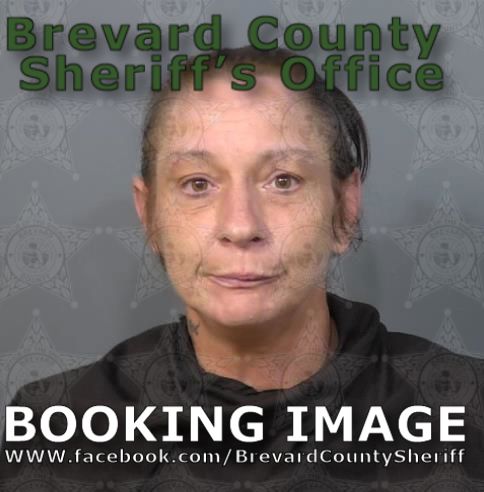 Mugshot of Teri Lynn Crook