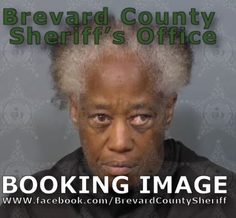 Mugshot of Mona Lisa Geter