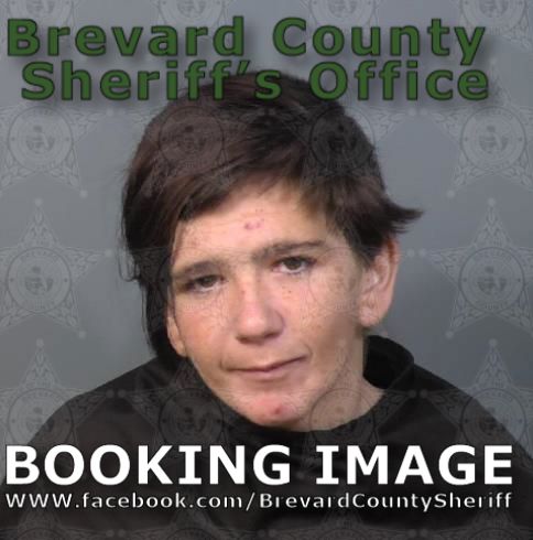 Mugshot of Sierra Lynn Cochran