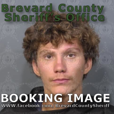 Mugshot of Alexzander Timothy Johns