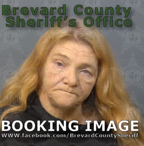 Mugshot of Patricia Ann Boyer