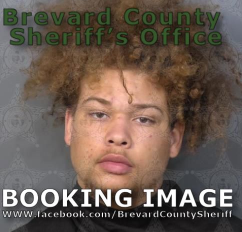 Mugshot of Mark Deavis Simpson