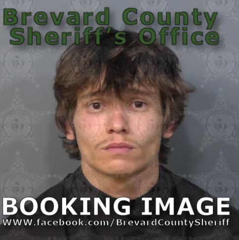 Mugshot of Tyler Dion Bowser