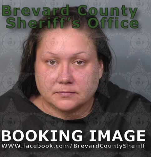 Mugshot of Elizabeth Marie Schmidt Rivera