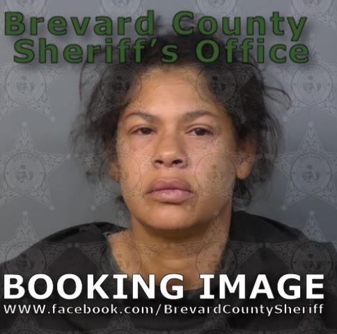 Mugshot of Julie Yvette Rivera