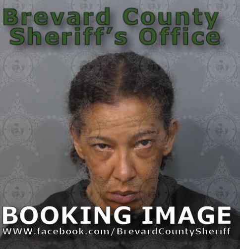 Mugshot of Diana Lynn Rice