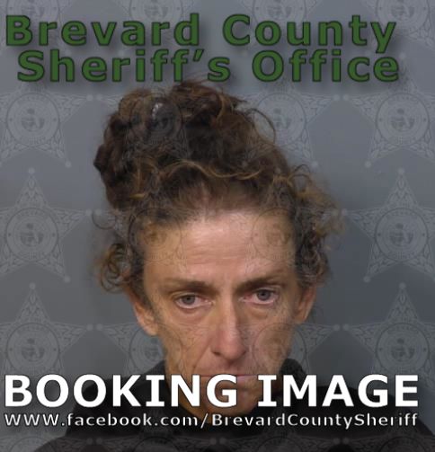 Mugshot of Dena Fitzgerald McHale