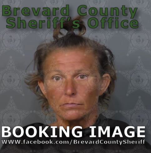Mugshot of Desiree L Cassidy