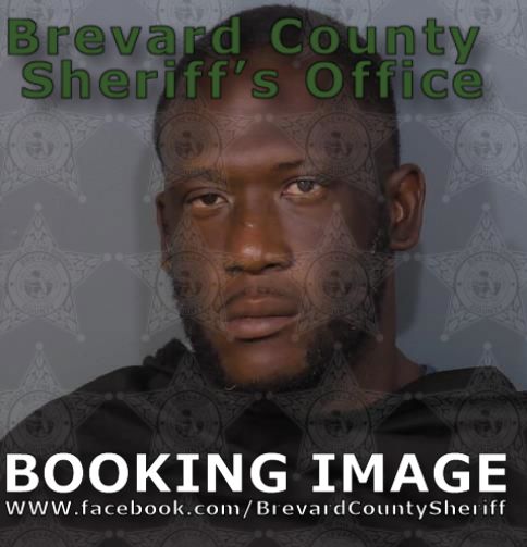 Mugshot of Michael Shawn McKinnis
