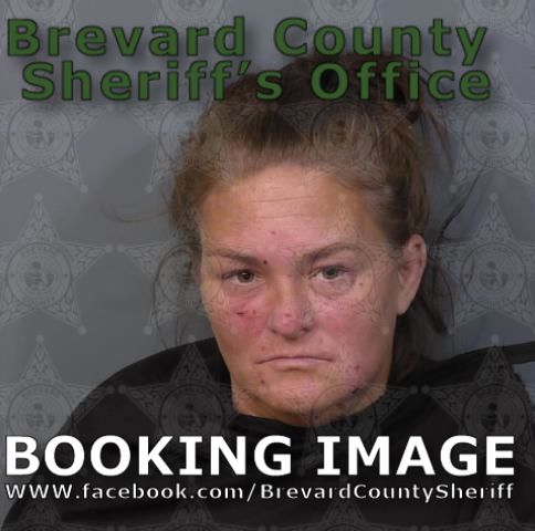 Mugshot of Amanda Lee Guevin