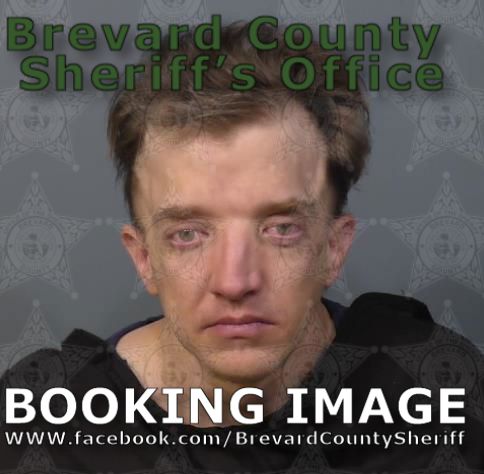 Mugshot of Robert Varnadoe