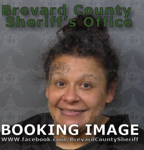 Mugshot of Lisa Marie Soto