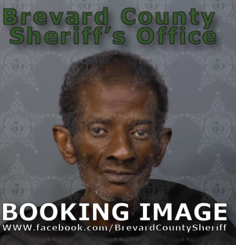 Mugshot of Ronald Jay Trody