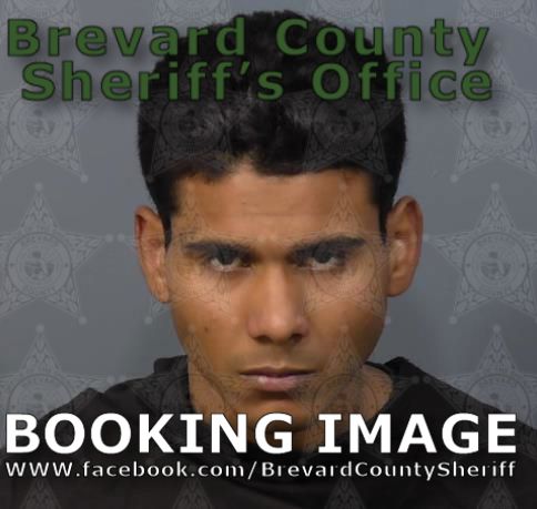 Mugshot of Alfredo F Martinez Noguera