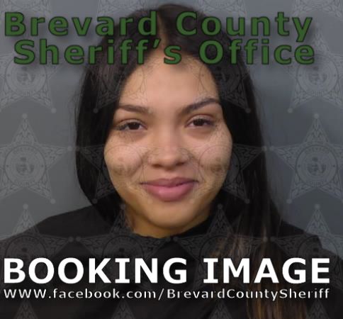 Mugshot of Anaya Lee Torres