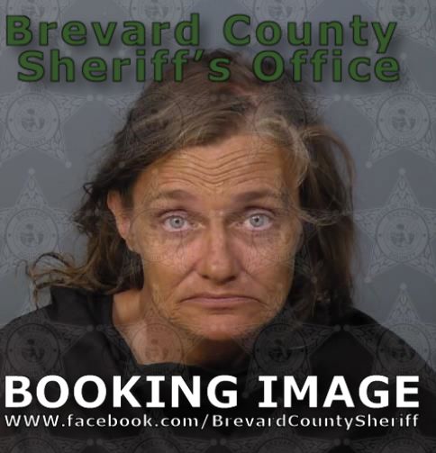 Mugshot of Stacey Colleen Tierney Ford