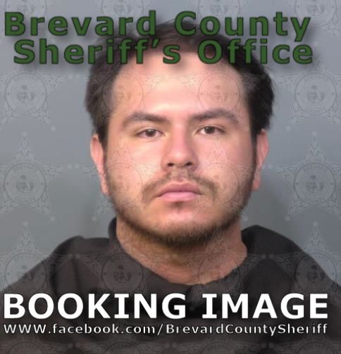 Mugshot of Fletcher Robert Brown