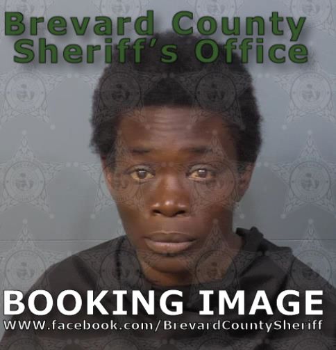 Mugshot of Idreka Shataivia Johnson