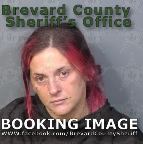 Mugshot of Dominique Lynn Civill
