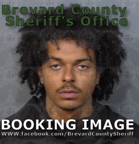 Mugshot of Wayne Edward Lewis