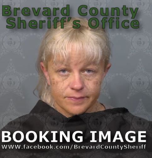 Mugshot of Megan Ashley Price