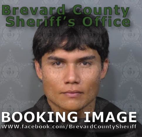 Mugshot of Hamcy Lidany Gonzales Sagastume