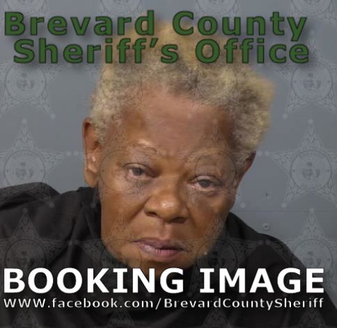 Mugshot of Vanessa Renee White