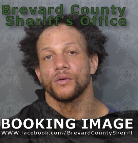 Mugshot of Rain Joel Pipkins