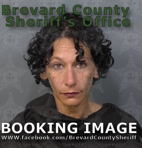 Mugshot of Idoris Rodriguez