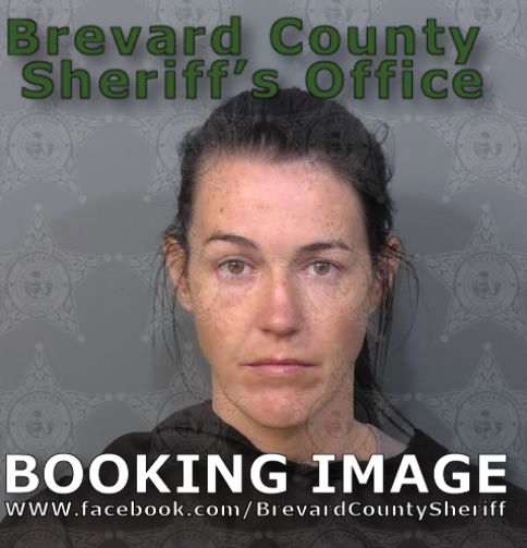 Mugshot of Paige Marie Meckley