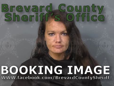 Mugshot of Ashley Nicole Cejda
