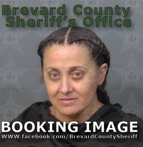 Mugshot of Fiona Mchugh