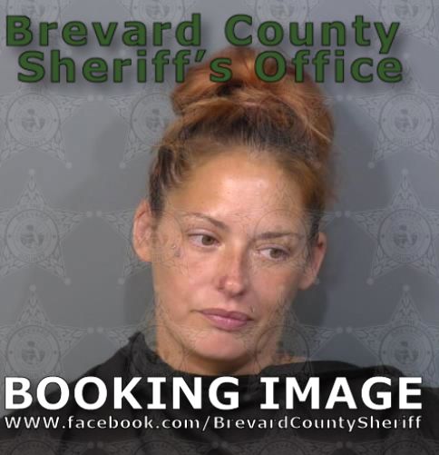 Mugshot of Amanda Lynn Beiland