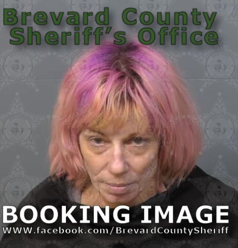 Mugshot of Cheryl Dawn Rinko