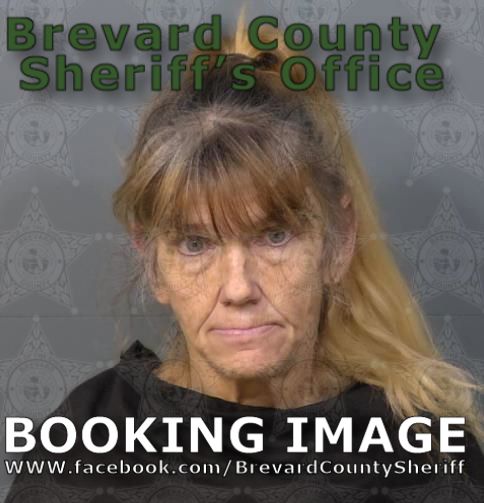 Mugshot of Roni Anne Heminway