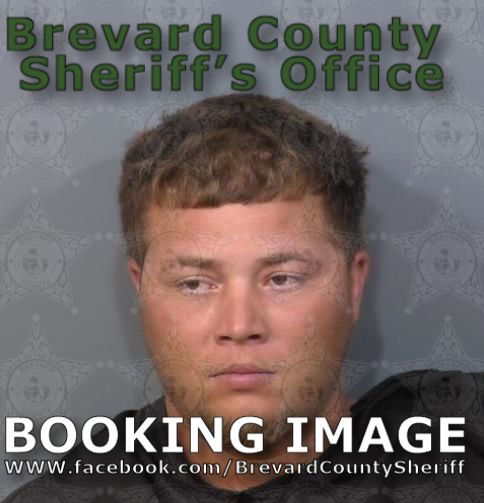 Mugshot of Brian Glynn Mcneill