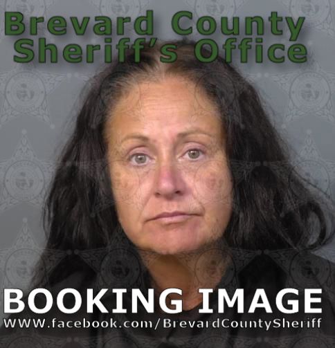 Mugshot of Sandra Brodosi Noe