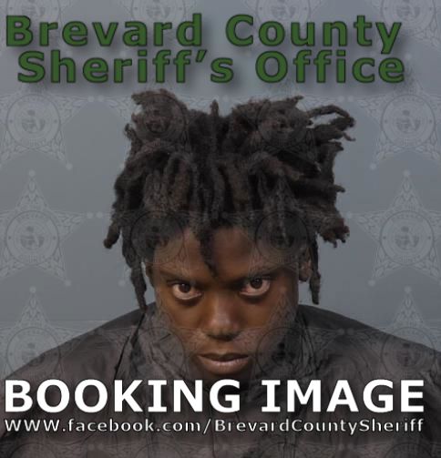 Mugshot of Ka Neika Andrea Chambers