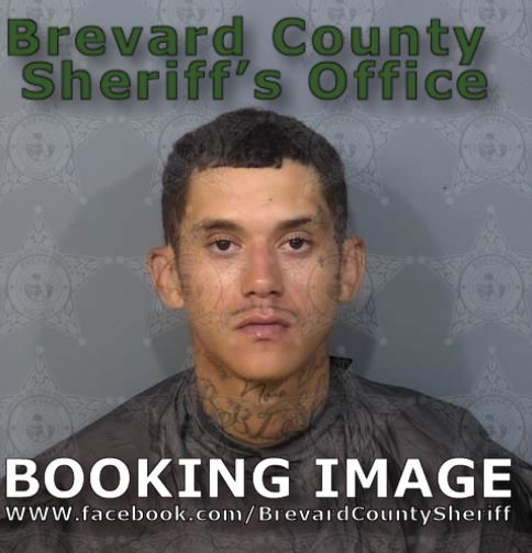 Mugshot of Trevor James Elmore