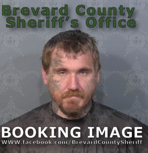 Mugshot of Michael Lloyd Stout