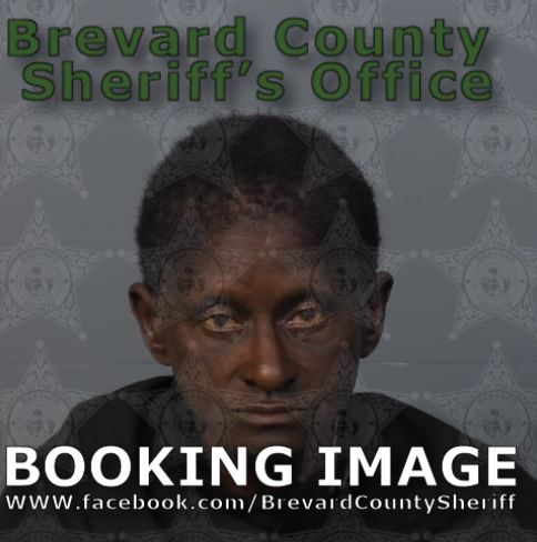 Mugshot of Laura Ann Harper