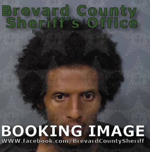 Mugshot of Mohamed Hussien Hulbale