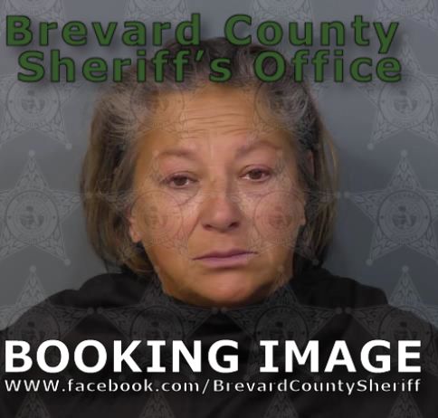 Mugshot of Micki Lynn Bria