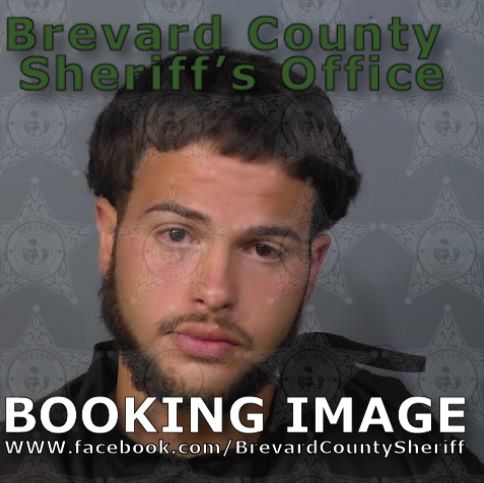 Mugshot of Kennette Jandel Melendez Bonano