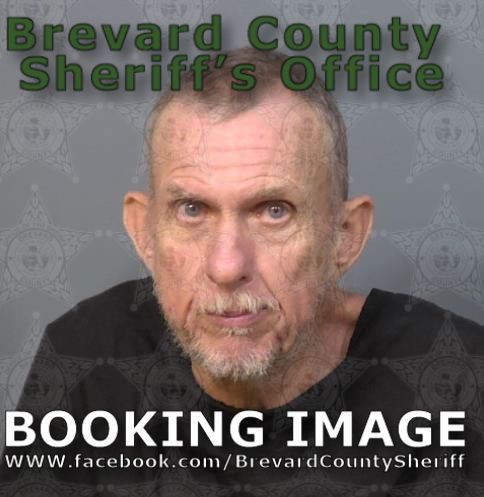 Mugshot of Carey David Hales