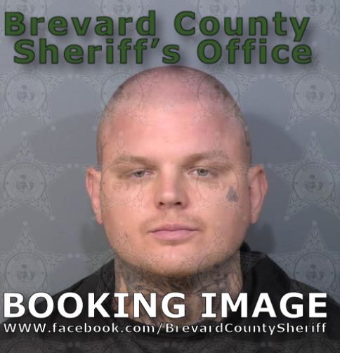 Mugshot of Gaige Alexander Wilson