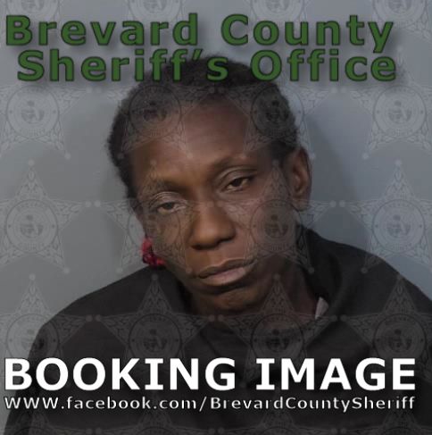 Mugshot of Latanya Monique Brown